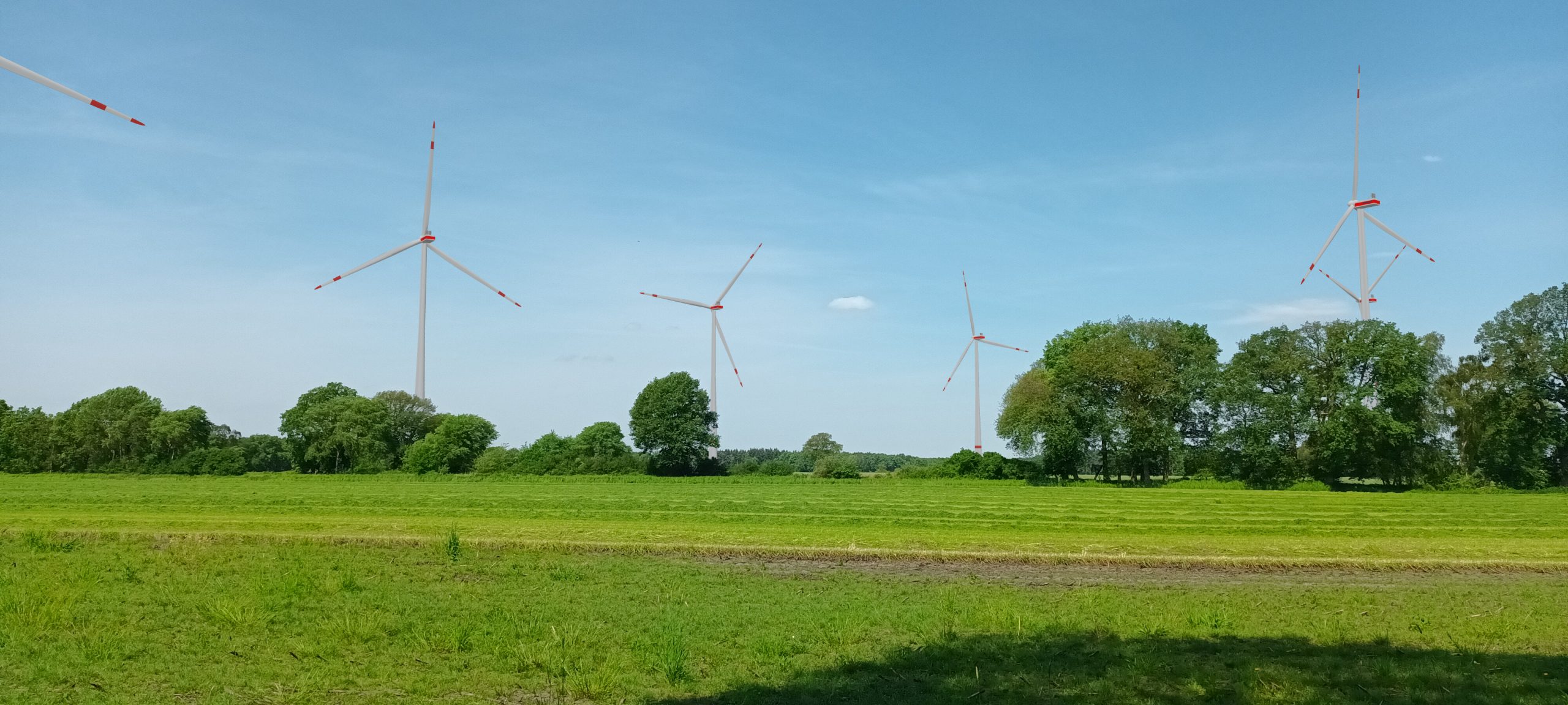 Visualisierung