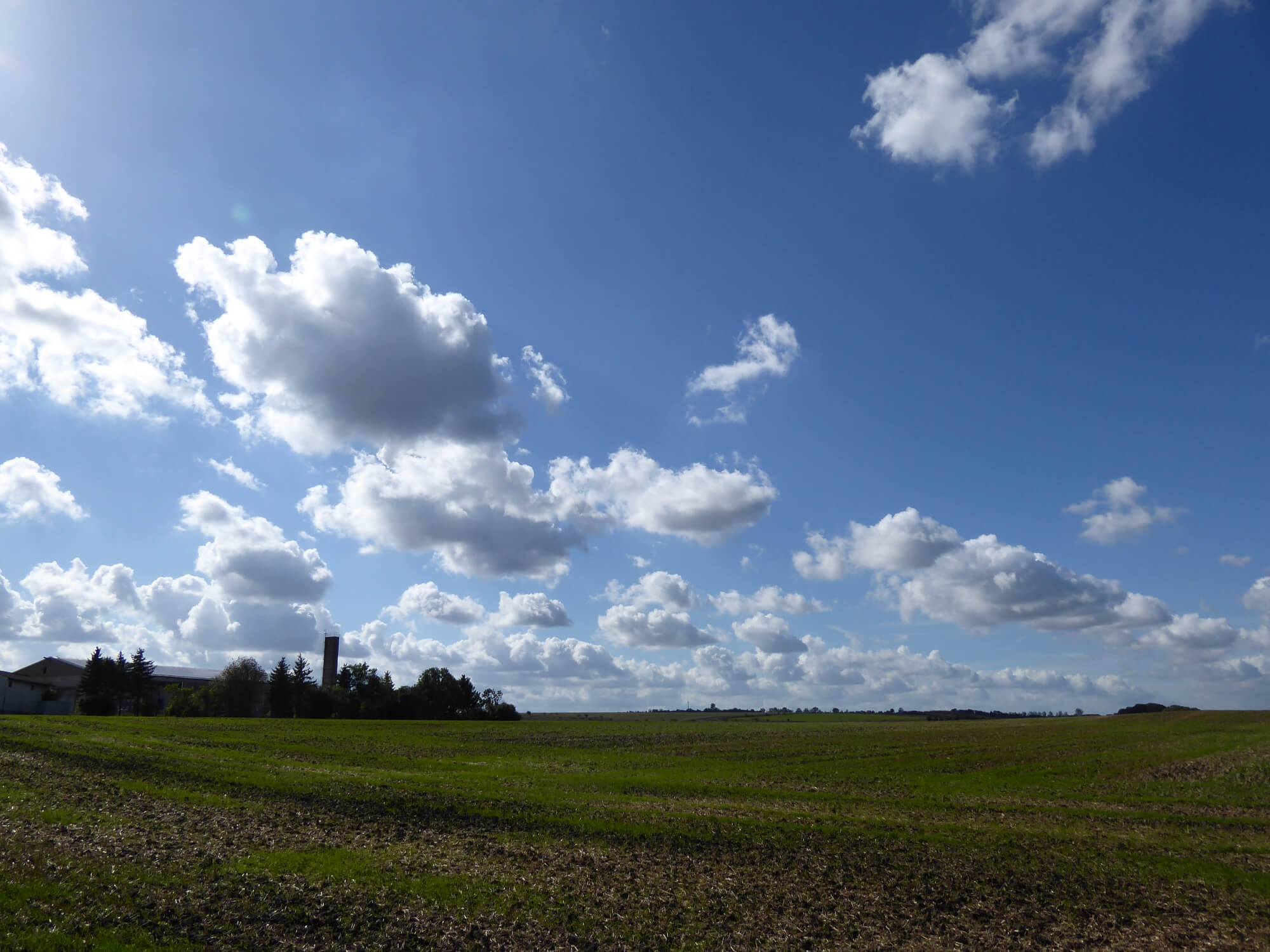 Blick aus Kranichborn auf Projektgebiet