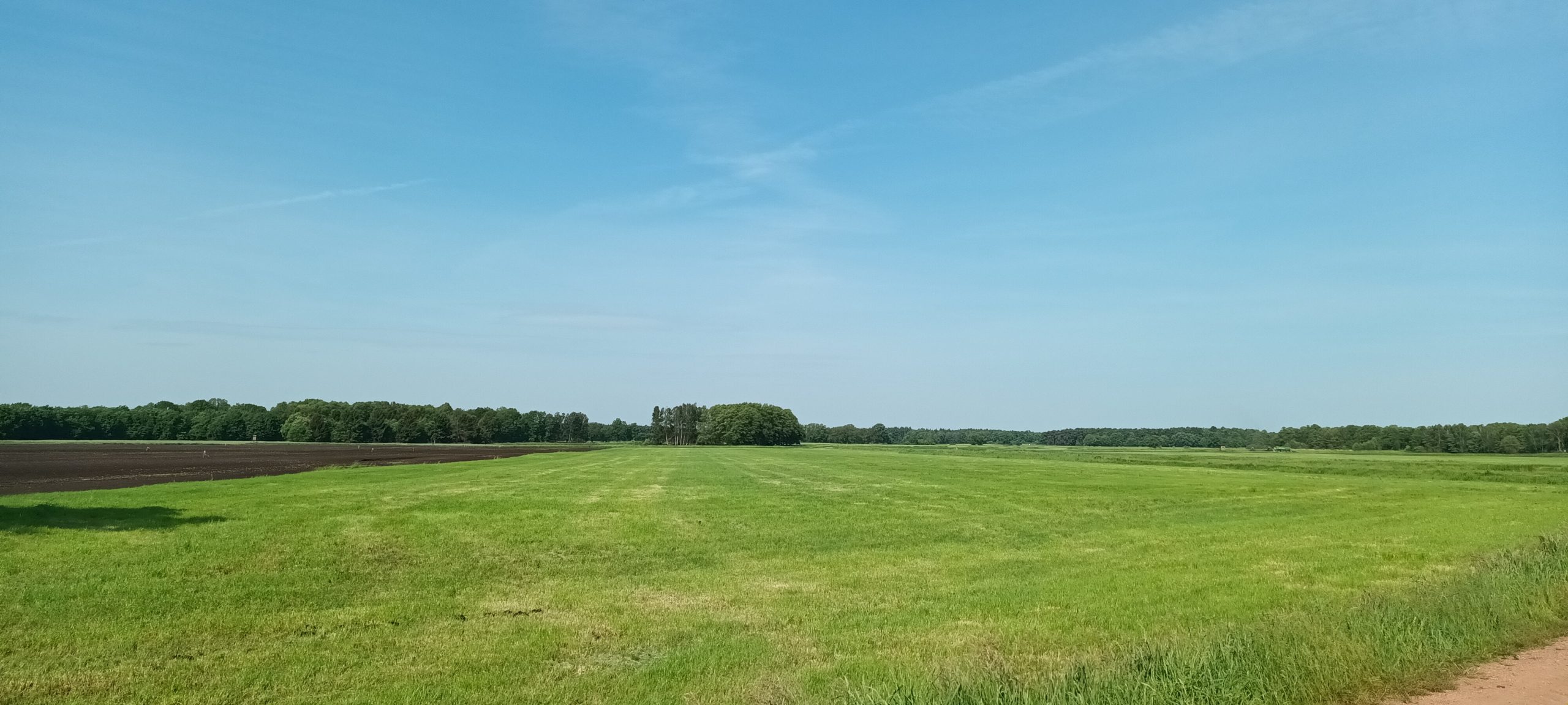 Visualisierung