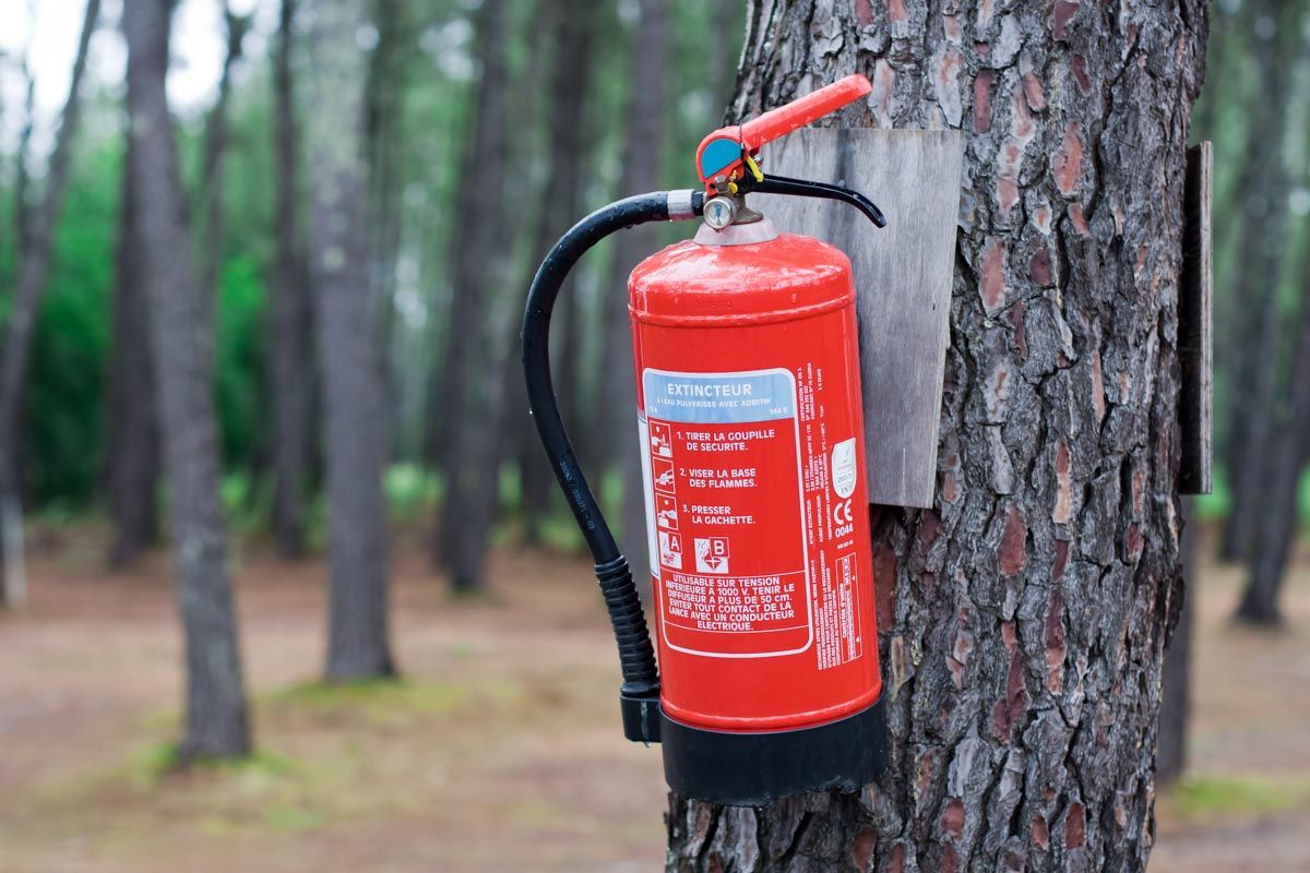 Aktiver Waldbrandschutz